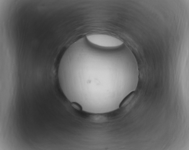 X0000102310327200807251046