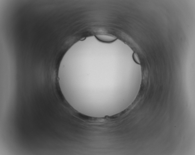 X0000102310330200807251046