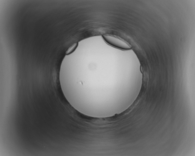 X0000102310331200807251046