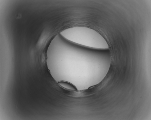 X0000102310335200807251046