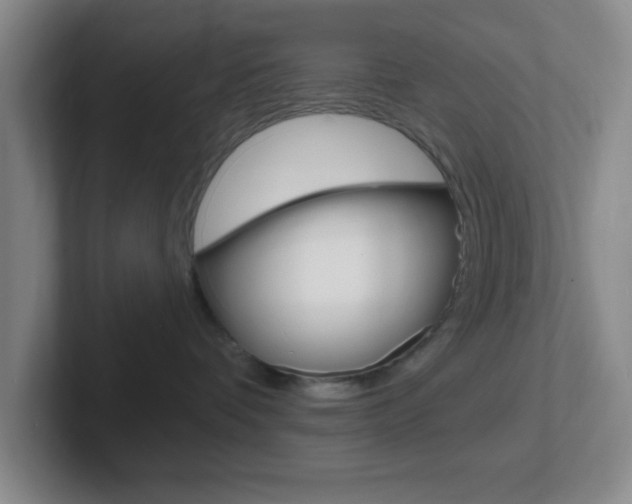 X0000102310336200807251046