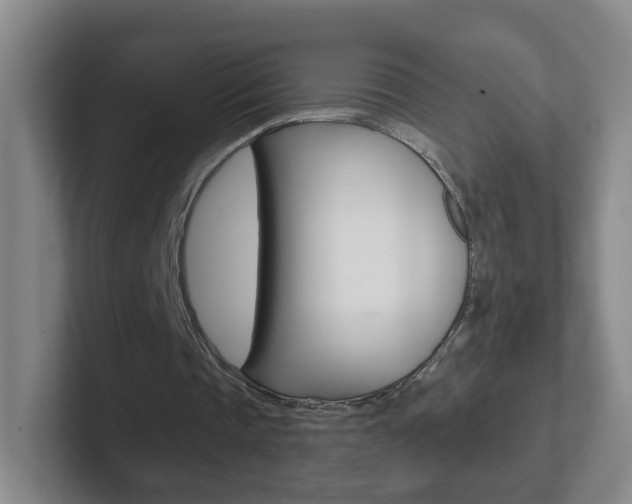 X0000102310337200807251045