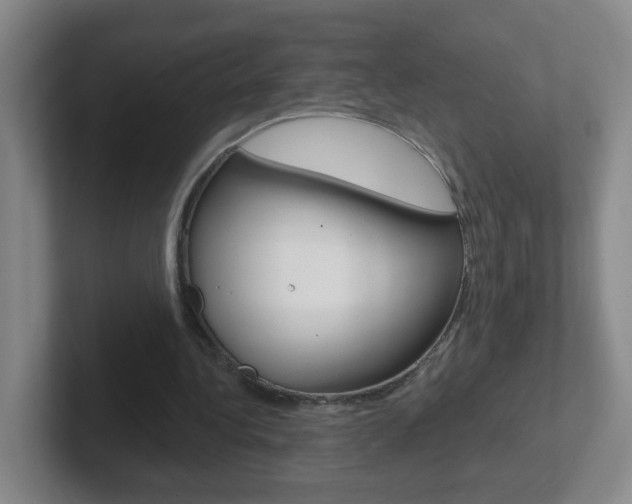 X0000102310340200807251045