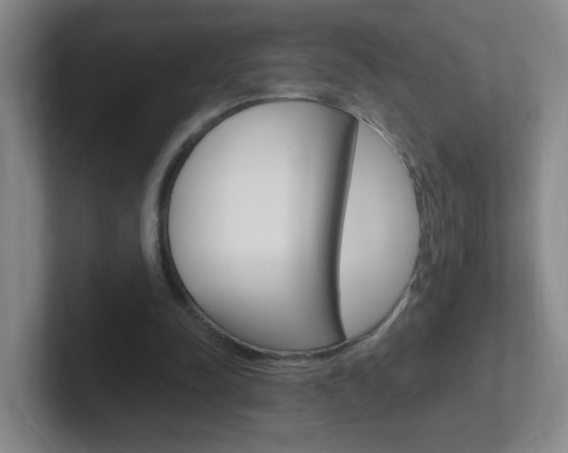 X0000102310342200807251045