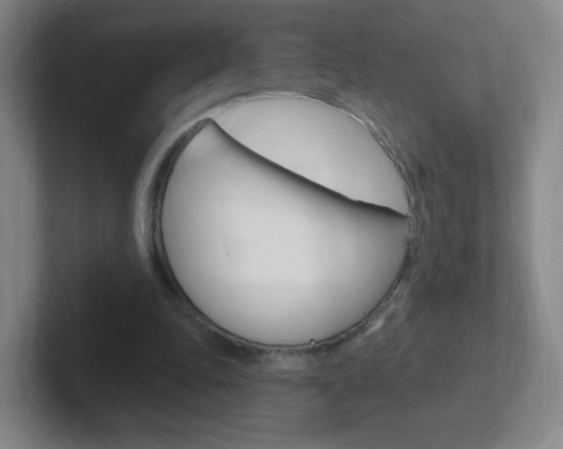 X0000102310343200807251045