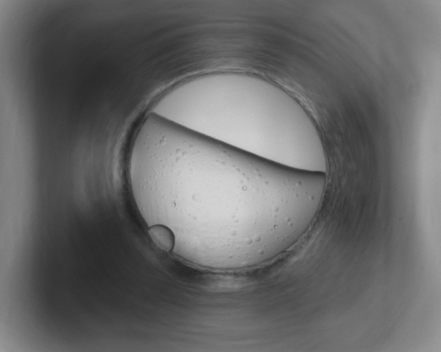 X0000102310347200807251045