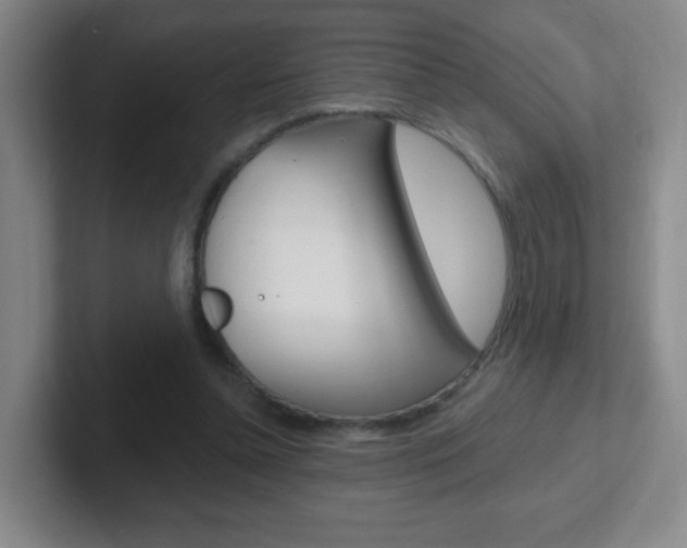 X0000102310348200807251045