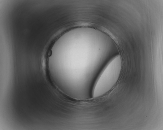 X0000102310350200807251046