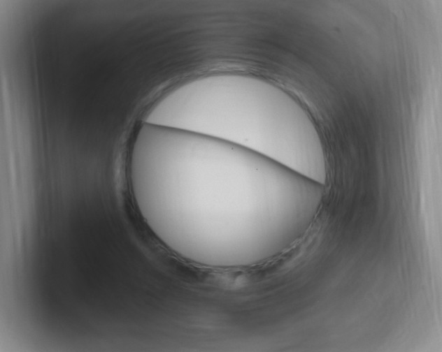 X0000102310352200807251046