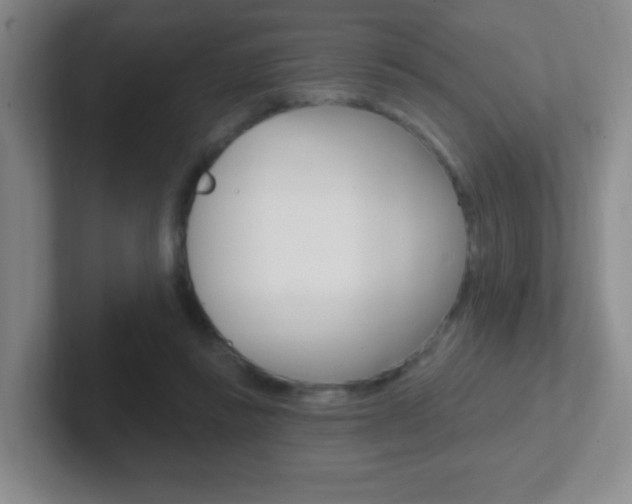 X0000102310355200807251046