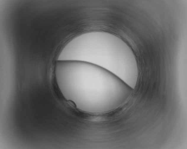X0000102310356200807251046