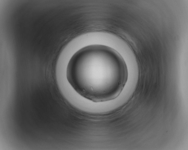 X0000102310362200807251046
