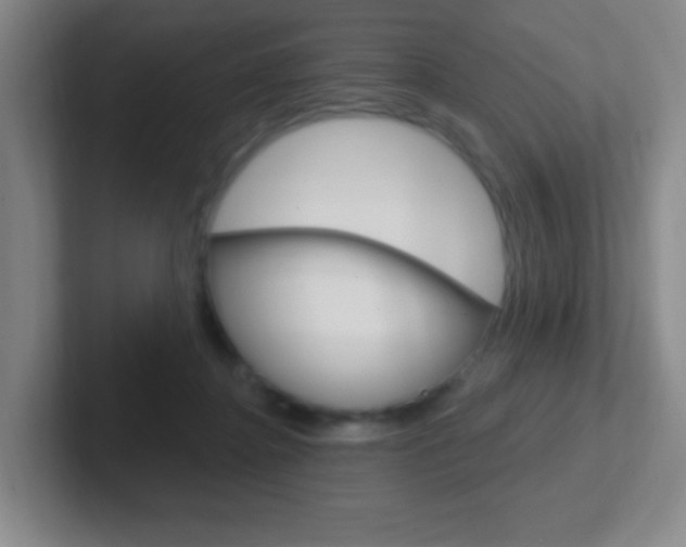 X0000102310364200807251046
