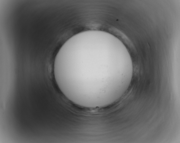 X0000102310365200807251046