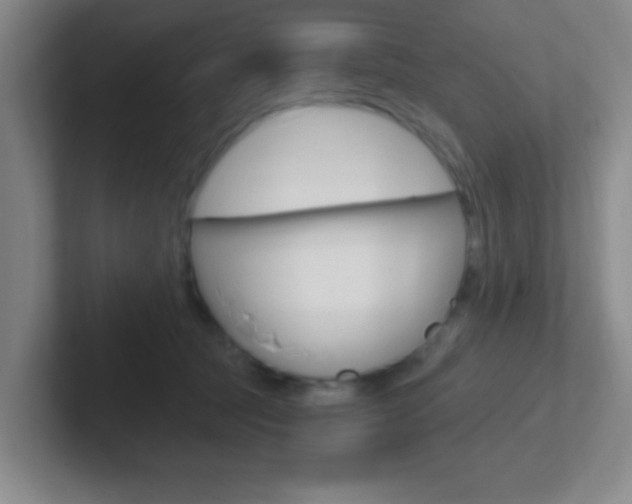 X0000102310369200807251046