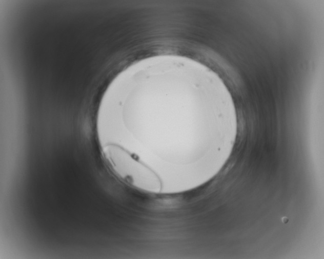 X0000102310370200807251046