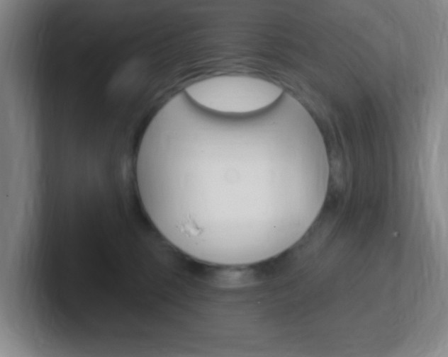 X0000102310375200807251046