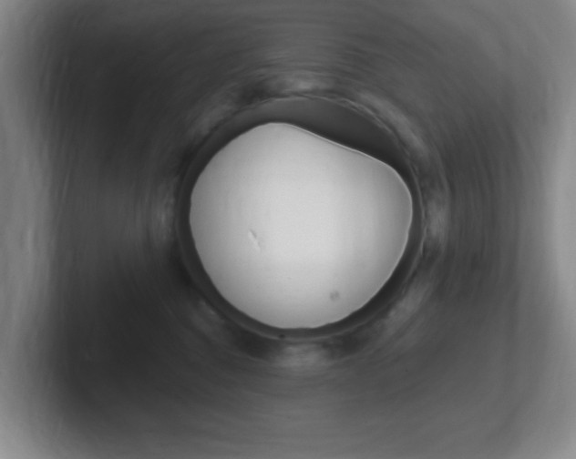 X0000102310376200807251046