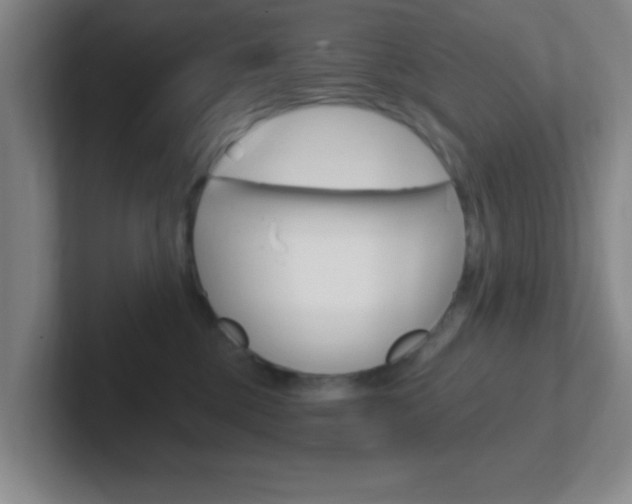 X0000102310377200807251046