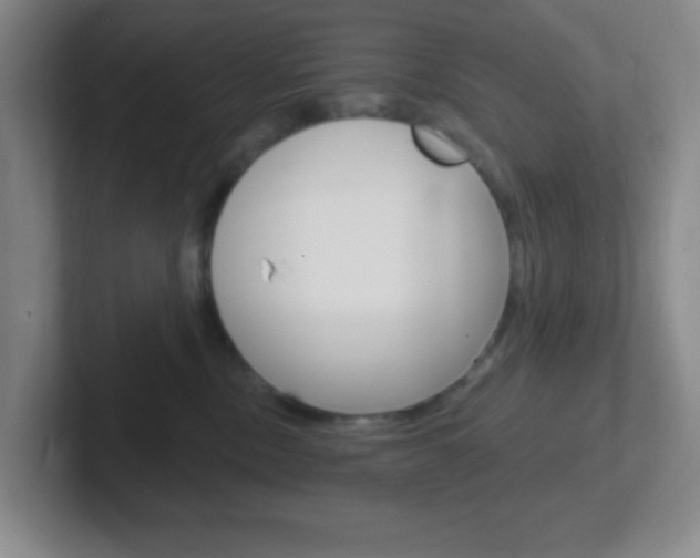 X0000102310378200807251046