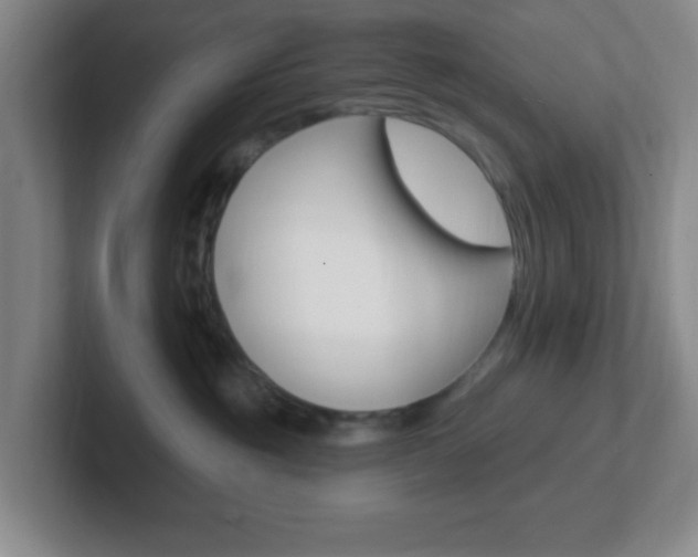 X0000102310381200807251046