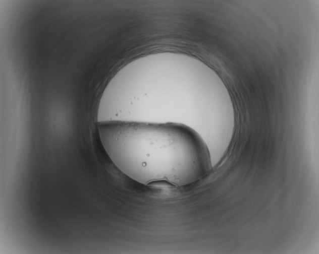 X0000102310382200807251046