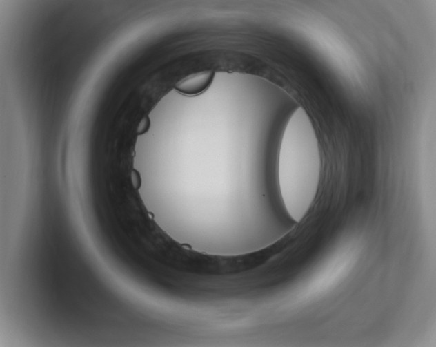 X0000102310383200807251046