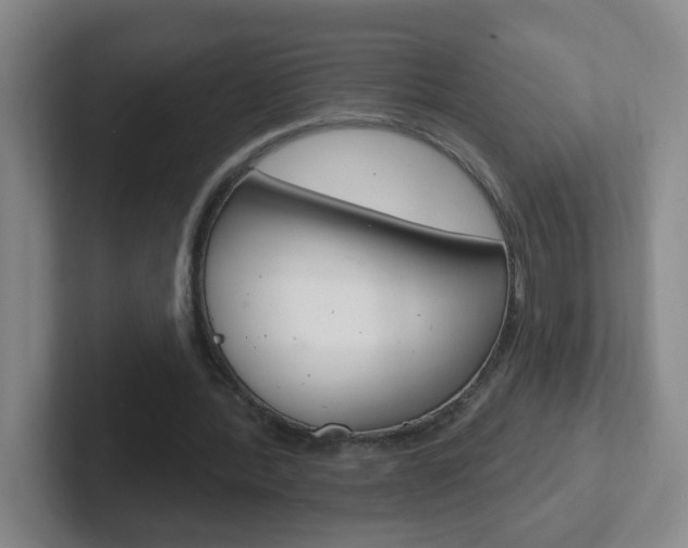 X0000102310388200807251045