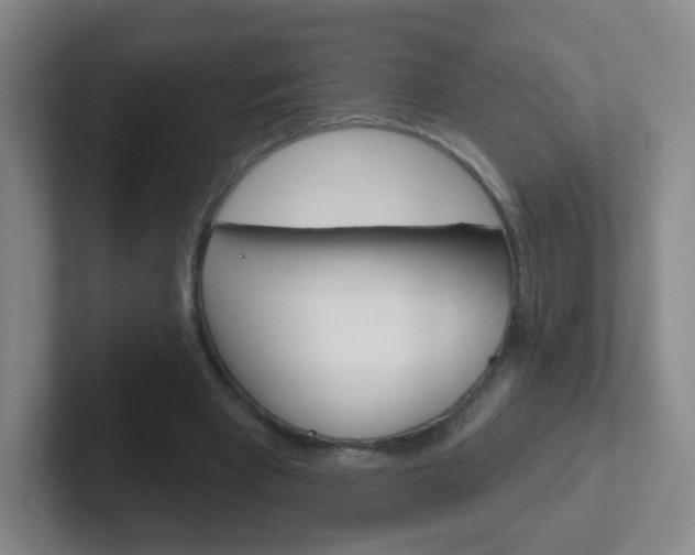 X0000102310393200807251045