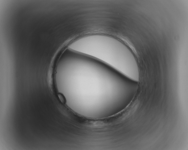 X0000102310395200807251045