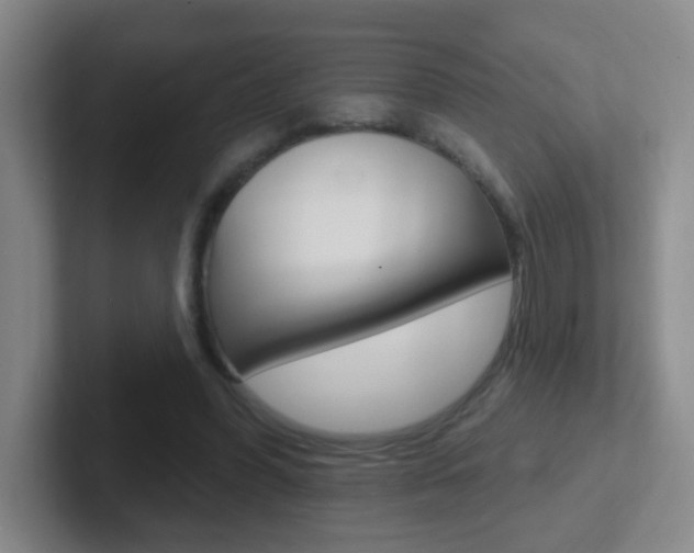 X0000102310396200807251045