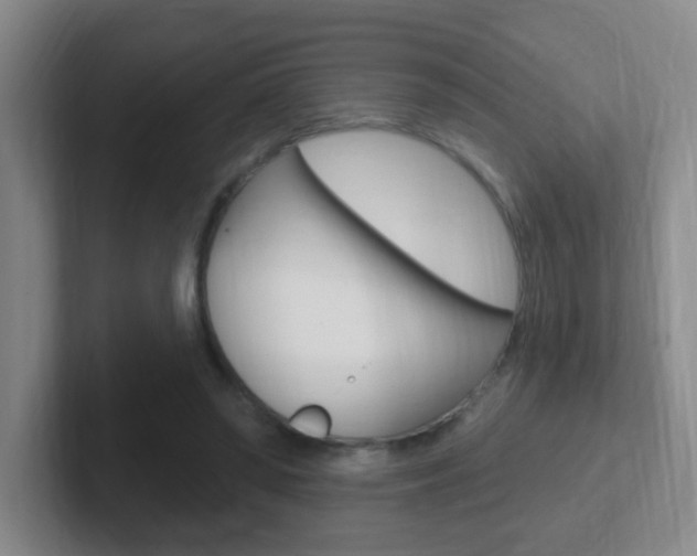 X0000102310398200807251045