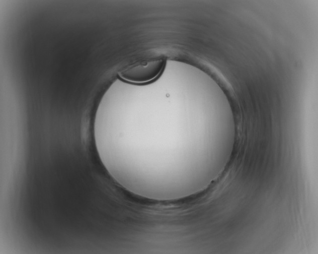 X0000102310403200807251045