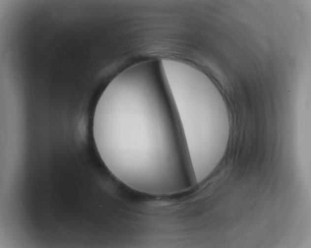 X0000102310404200807251045