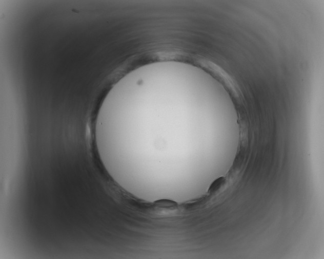X0000102310405200807251045