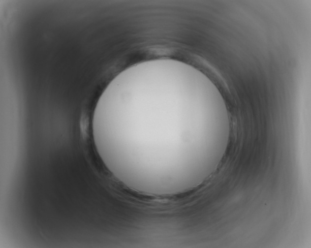 X0000102310406200807251045