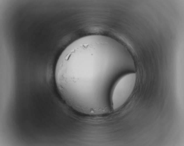 X0000102310407200807251045