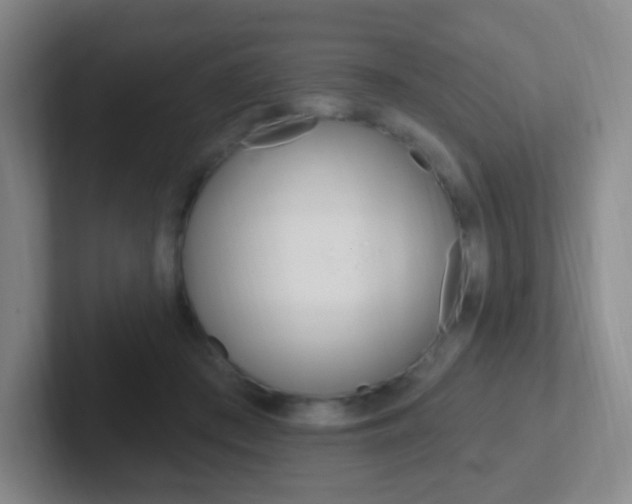 X0000102310409200807251045
