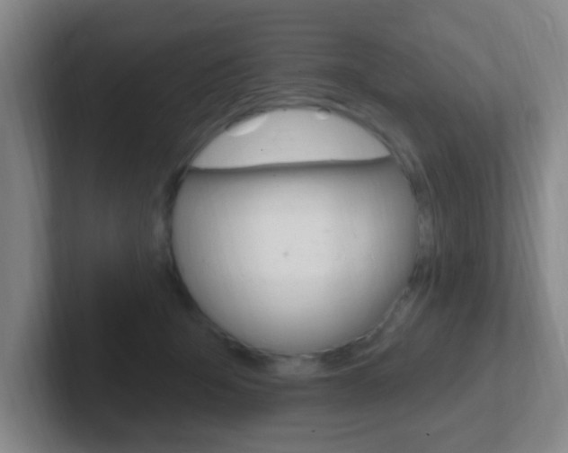 X0000102310415200807251045