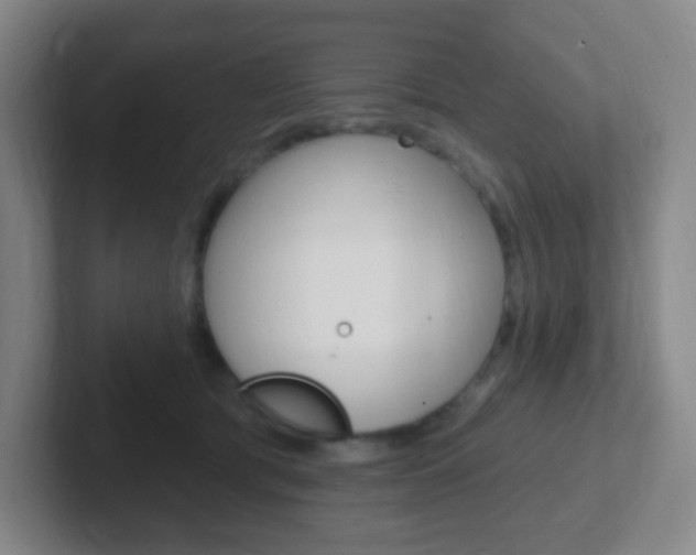X0000102310417200807251045