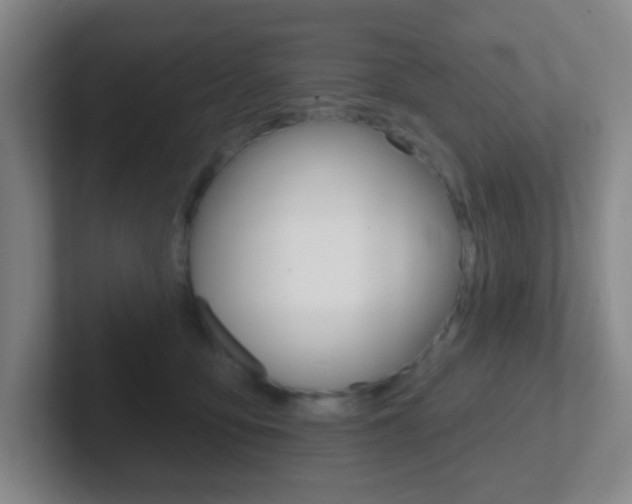 X0000102310419200807251045