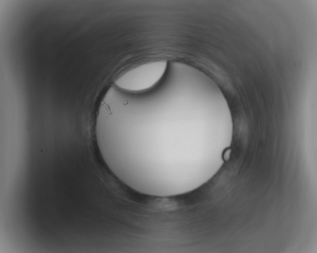X0000102310421200807251045