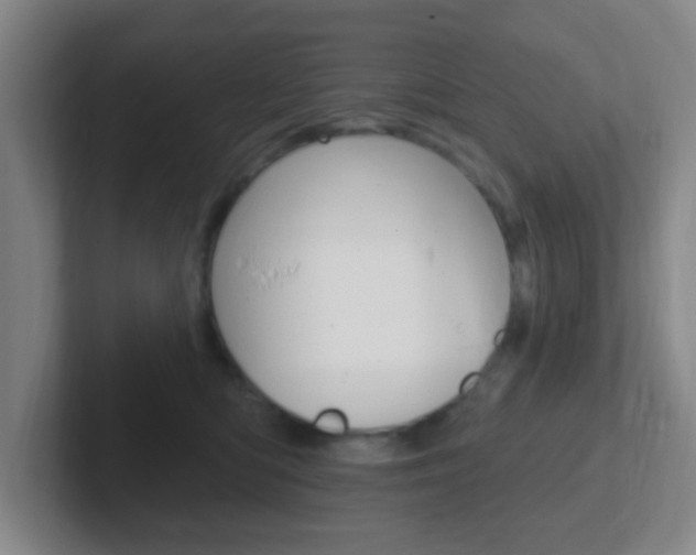 X0000102310422200807251045