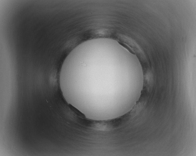 X0000102310423200807251045