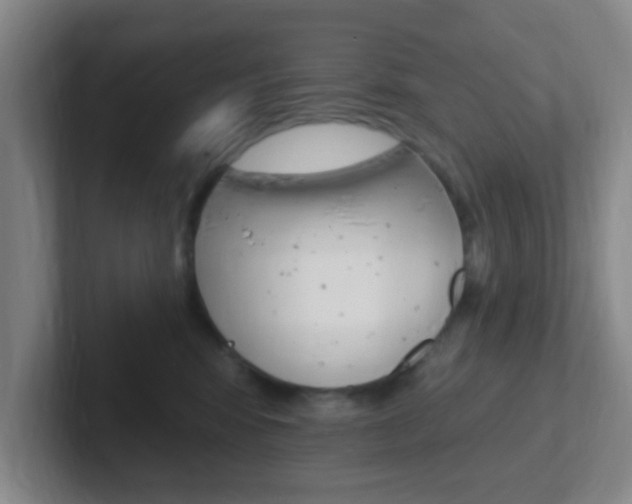 X0000102310424200807251045