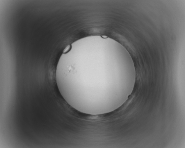 X0000102310425200807251045