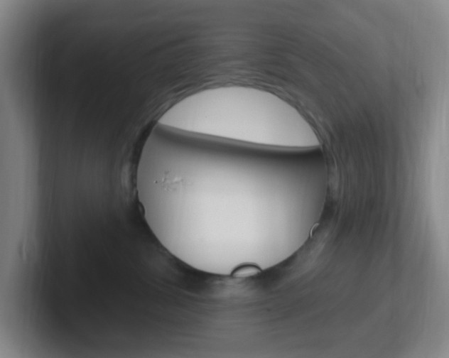 X0000102310428200807251045