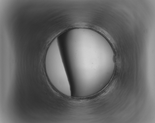 X0000102310433200807251044