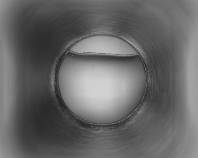 X0000102310434200807251044