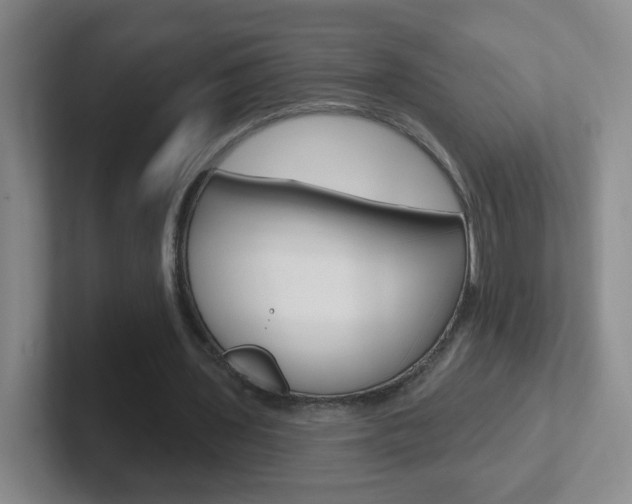 X0000102310435200807251044